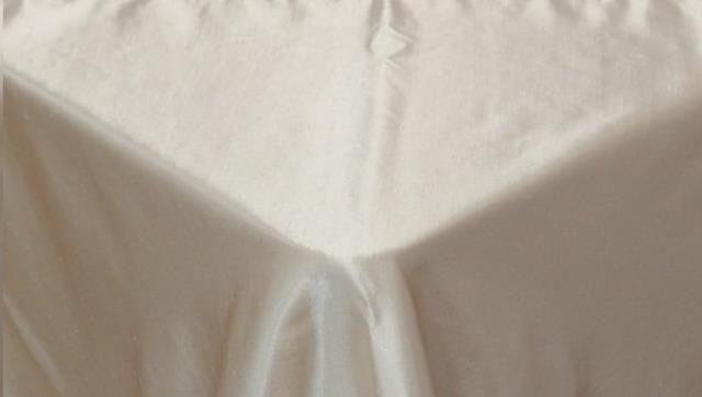 Rental store for CHAMPAGNE SHANTUNG in Calgary AB