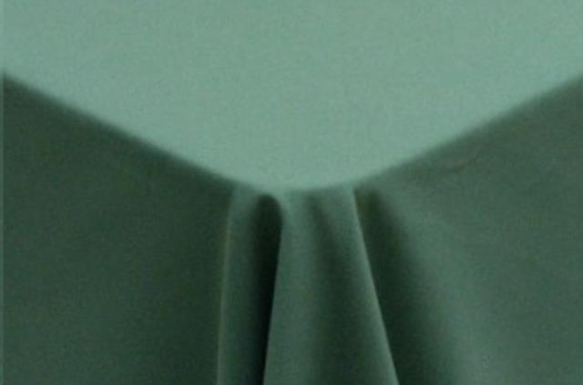 Rental store for FOREST GREEN POLYESTER in Calgary AB