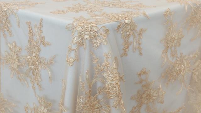 Rental store for CHAMPAGNE LEYLANIE LACE in Calgary AB