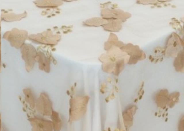 Rental store for CHAMPAGNE FLORAL APPLIQUE in Calgary AB