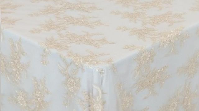 Rental store for LIGHT IVORY LEYLANIE LACE in Calgary AB