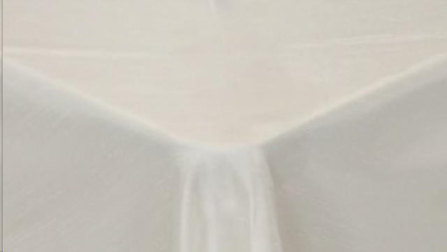 Rental store for IVORY SHANTUNG in Calgary AB