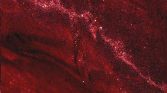 Rental store for WINE CRUSH SATIN in Calgary AB