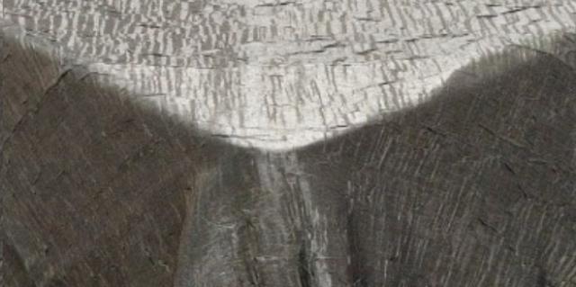 Rental store for CHARCOAL GALAXY SHIMMER in Calgary AB