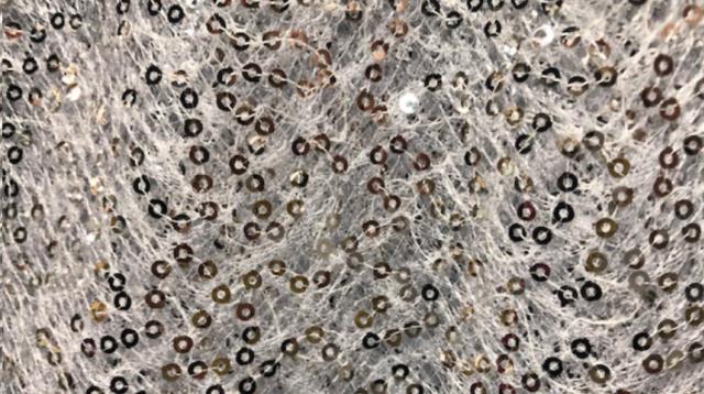 Rental store for WHITE SPIDERWEB SEQUIN in Calgary AB