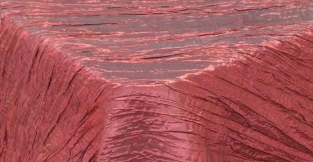 Rental store for BURGUNDY ACCORDION in Calgary AB