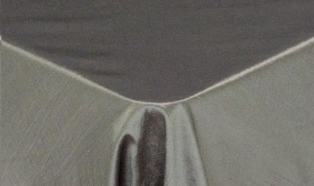 Rental store for PEWTER TAFFETA in Calgary AB