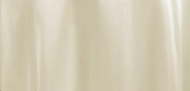 Rental store for IVORY SATIN in Calgary AB