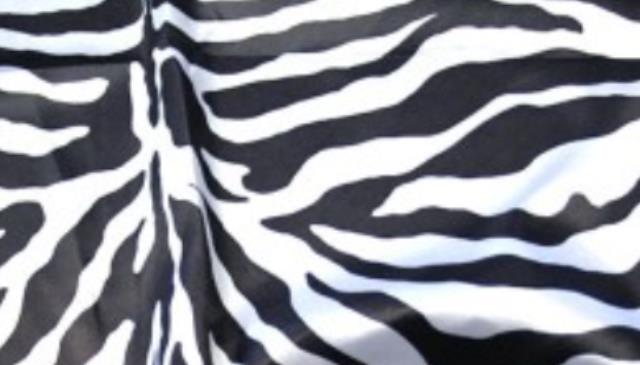 Rental store for ZEBRA STRIPE LAMOUR in Calgary AB