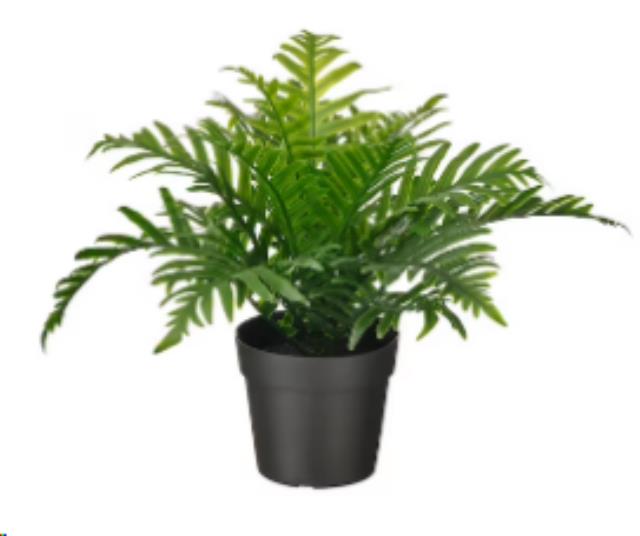 Rental store for Potted Plant - Whitley in Calgary AB