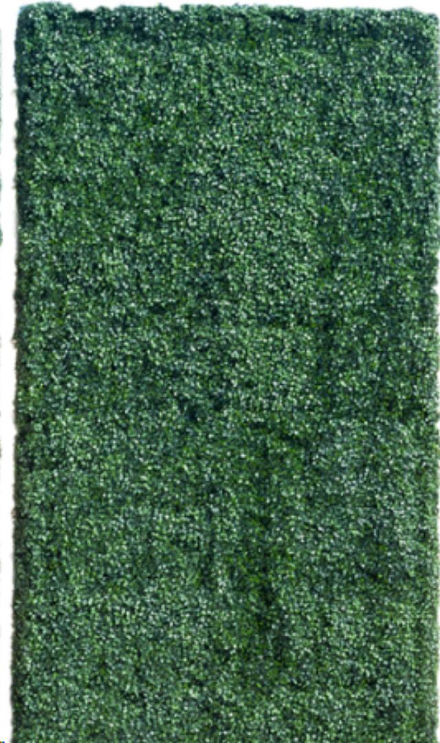 Rental store for Hedge Panels 4  x 8 in Calgary AB