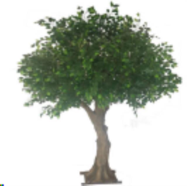 Rental store for Green Ficus Mini Tree 10 in Calgary AB