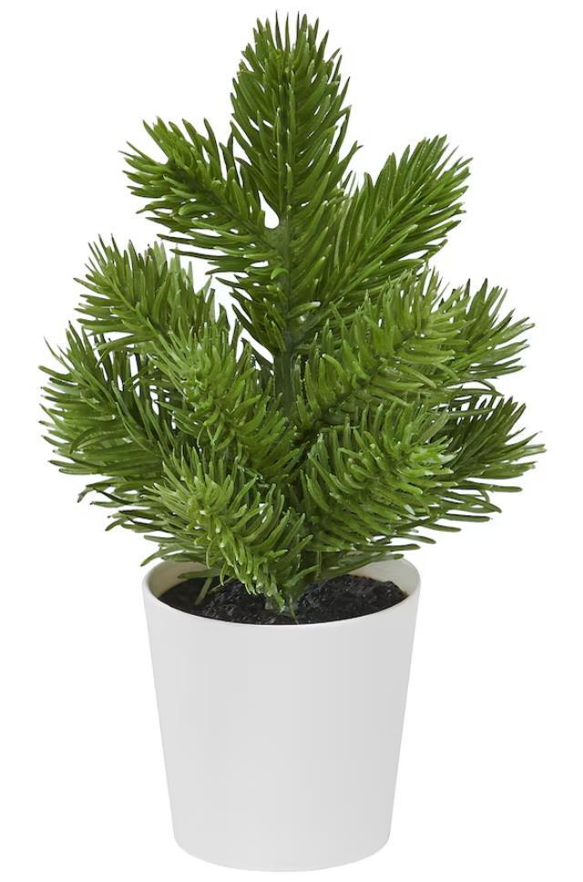 Rental store for Tiny Pine in Calgary AB